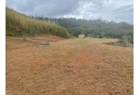 Lotes, Venta, Calima (Darién) - $650.000.000