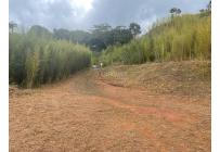 Lotes, Venta, Calima (Darién) - $650.000.000