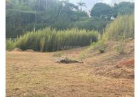 Lotes, Venta, Calima (Darién) - $650.000.000