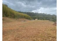 Lotes, Venta, Calima (Darién) - $650.000.000