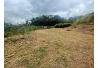 Lotes, Venta, Calima (Darién) - $650.000.000