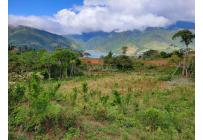 Lotes, Venta, Calima (Darién) - $645.840.000