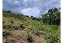 Lotes, Venta, Calima (Darién) - $645.840.000