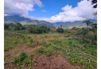 Lotes, Venta, Calima (Darién) - $645.840.000