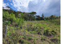 Lotes, Venta, Calima (Darién) - $645.840.000