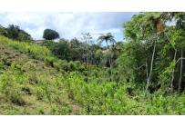 Lotes, Venta, Calima (Darién) - $645.840.000