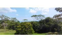 Lotes, Venta, Pance - $1.500.000.000
