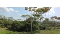 Lotes, Venta, Pance - $1.500.000.000