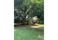Lotes, Venta, Pance - $8.000.000.000