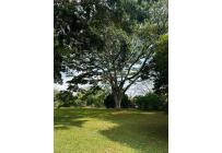 Lotes, Venta, Pance - $8.000.000.000