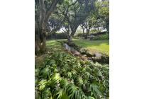 Lotes, Venta, Pance - $8.000.000.000