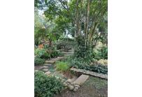 Lotes, Venta, Pance - $8.000.000.000