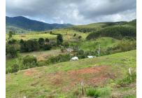 Lotes, Venta, Dagua - $130.000.000