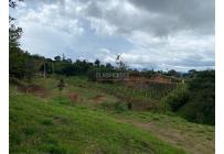 Lotes, Venta, Dagua - $130.000.000