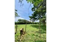 Lotes, Venta, Pance - $4.460.680.000