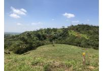 Lotes, Venta, Pance - $970.000.000