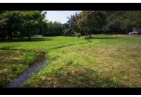 Lotes, Venta, Pance - $1.000.000.000