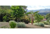 Casas, Venta, Dagua - $475.000.000