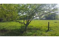 Lotes, Venta, Jamundí - $4.800.000.000