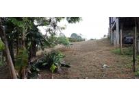 Lotes, Venta, Calima (Darién) - $150.000.000