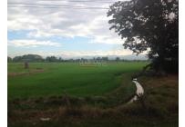 Lotes, Venta, Jamundí - $8.295.000.000