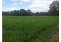 Lotes, Venta, Jamundí - $8.295.000.000