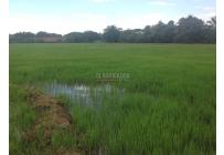 Lotes, Venta, Jamundí - $8.295.000.000