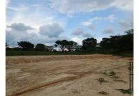 Lotes, Venta, Tuluá - $90.000.000