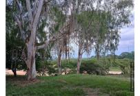 Lotes, Venta, Tuluá - $90.000.000