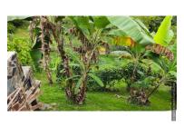 Casas, Venta, Tuluá - $1.000.000.000