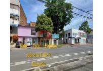Locales y Bodegas, Venta, Alameda - $2.250.000.000