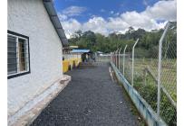Fincas y Casas Campestres, Venta, Calima (Darién) - $650.000.000