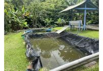 Fincas y Casas Campestres, Venta, Calima (Darién) - $650.000.000