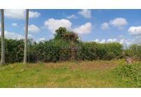 Lotes, Venta, Tuluá - $260.000.000