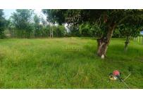 Lotes, Venta, Tuluá - $260.000.000
