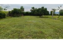 Lotes, Venta, Tuluá - $260.000.000