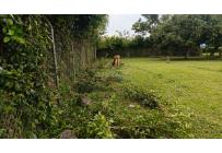 Lotes, Venta, Tuluá - $260.000.000