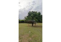 Lotes, Venta, Tuluá - $260.000.000