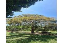 Casas, Venta, Tuluá - $1.700.000.000