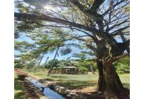 Casas, Venta, Tuluá - $1.700.000.000