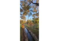 Casas, Venta, Tuluá - $1.700.000.000
