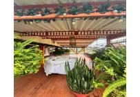 Casas, Venta, Dagua - $260.000.000