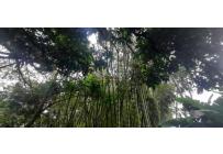 Lotes, Venta, Jamundí - $130.000.000