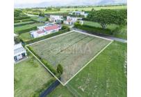 Lotes, Venta, Palmira - $300.000.000