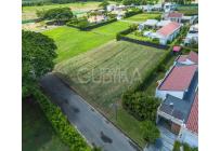 Lotes, Venta, Palmira - $300.000.000