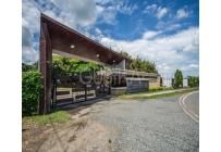 Lotes, Venta, Palmira - $300.000.000