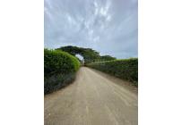 Casas, Venta, Palmira - $980.000.000