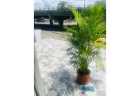 Casas, Venta, El Prado - $620.000.000