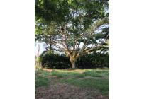 Lotes, Venta, Jamundí - $620.000.000