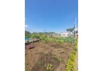 Apartamentos, Venta, Hacienda Kachipay - $250.000.000